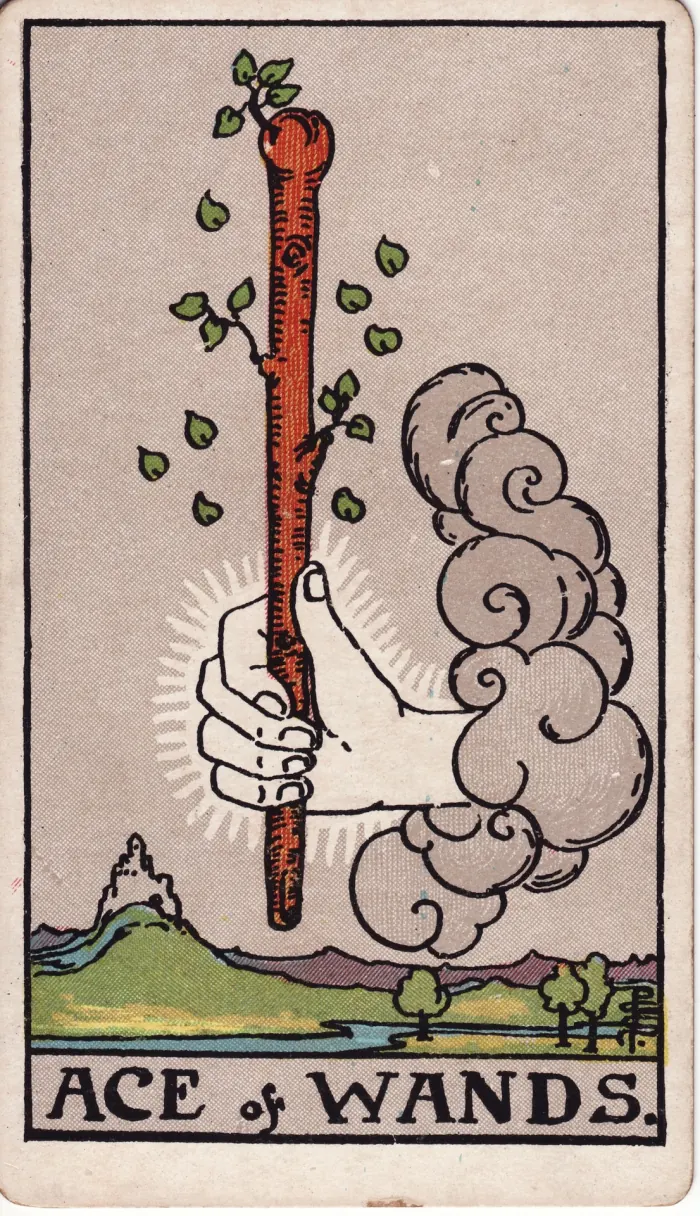 최고의 지팡이(ACE OF WANDS) 타로카드 이미지