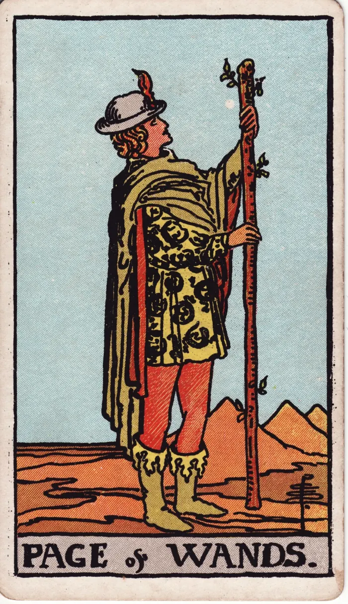 지팡이의 한 장면(PAGE OF WANDS) 타로카드 이미지